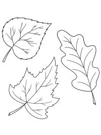 3 hojas de otoño