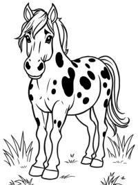 Caballo Appaloosa