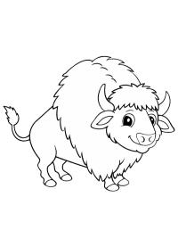 Bison