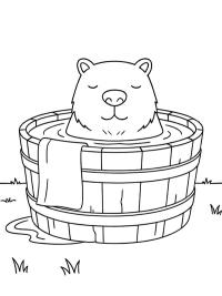 Capibara en un cubo