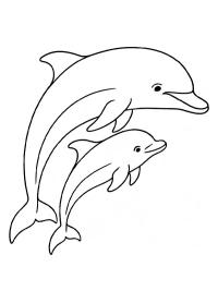 Delfín con bebé