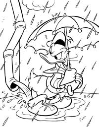 Donald Duck bajo la lluvia