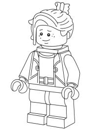 LEGO Nash Durango