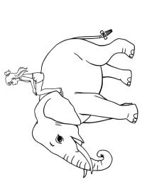 Niña sobre un elefante