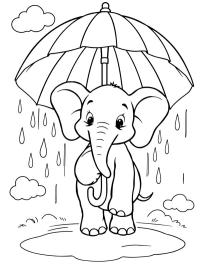 Elefante con paraguas bajo la lluvia
