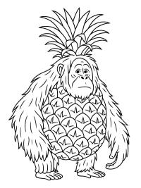 Orangutini Ananasini