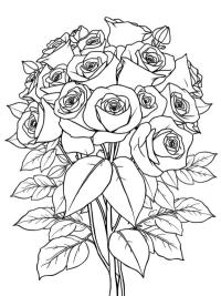 Ramo de rosas para adultos