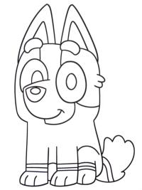 Socks Heeler