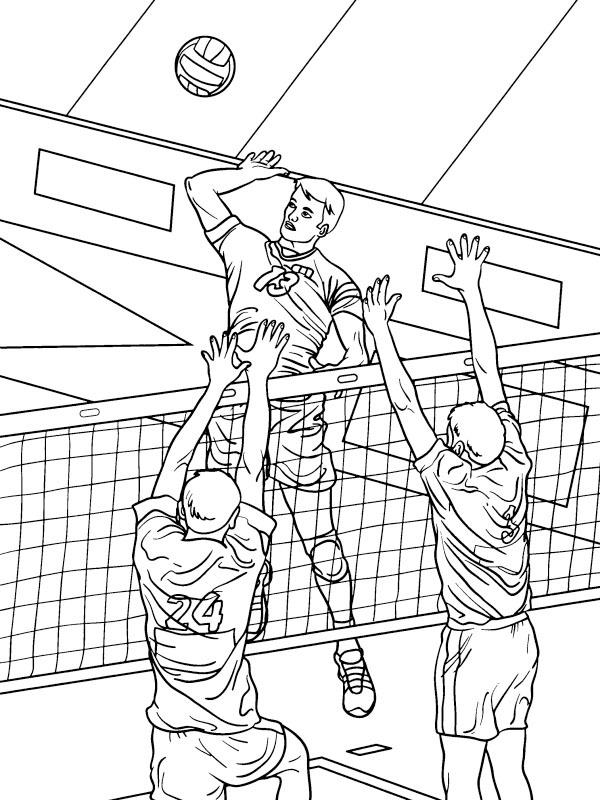 Dibujo de Voleibol para Colorear