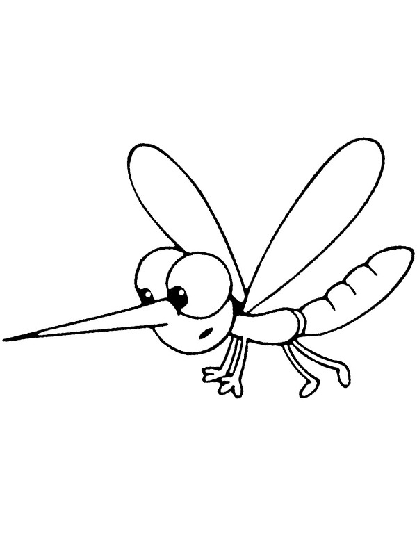 Dibujo de Mosquito para Colorear