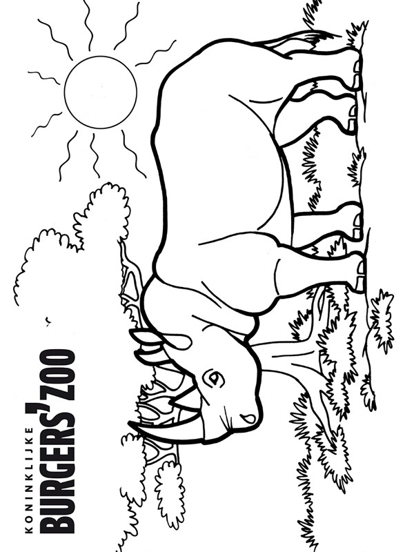 Dibujo de rinoceronte en Burgers'Zoo para Colorear