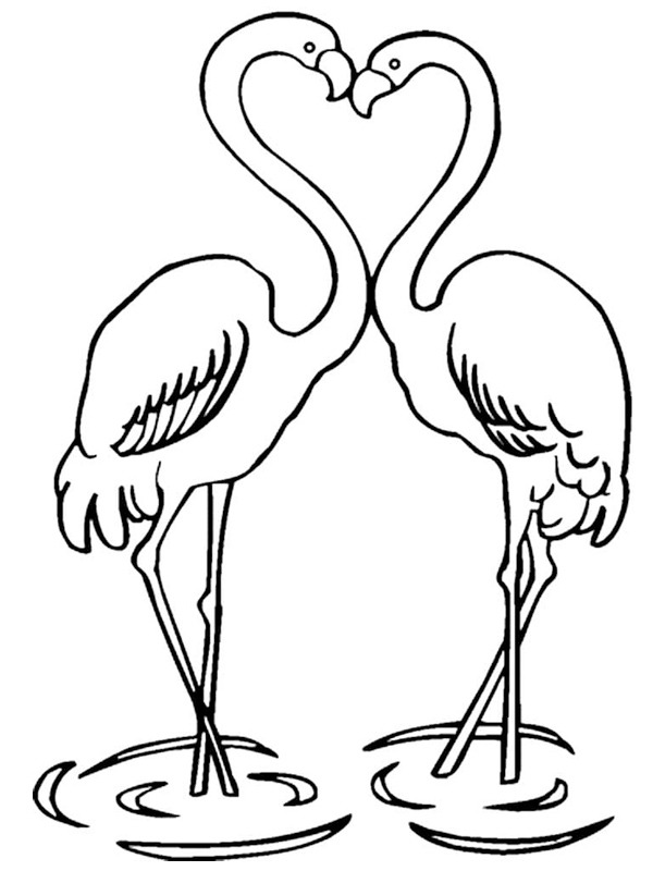 Dibujo de Flamencos enamorados para Colorear