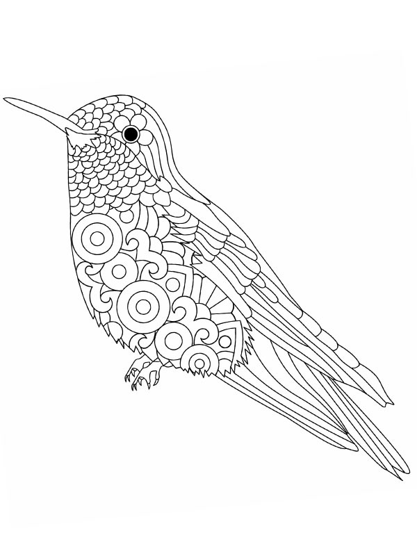 Dibujo de Mandala de pájaros para Colorear