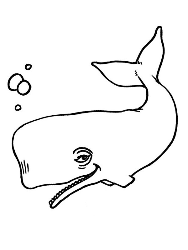 Dibujo de Ballena para Colorear