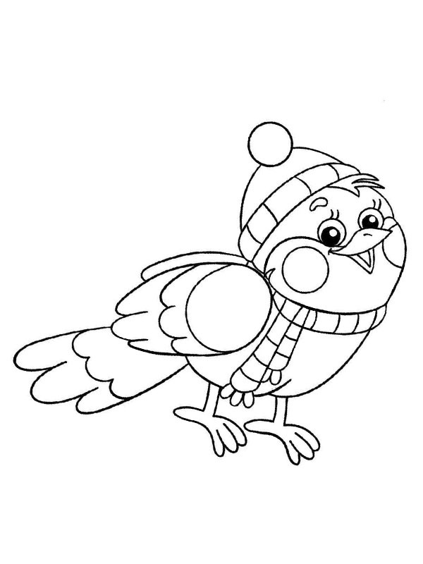 Dibujo de Pájaro de invierno para Colorear